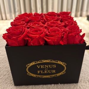 Venus Et Fleur Red Rose Box